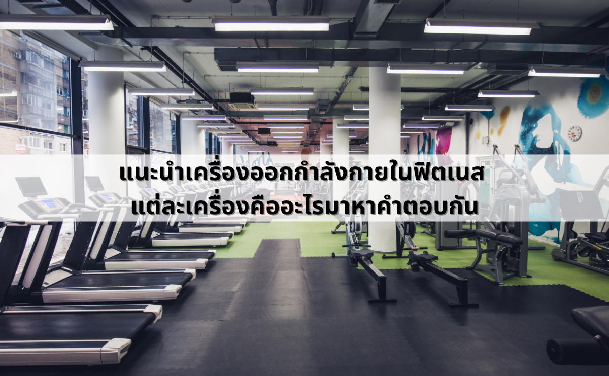 แนะนำเครื่องออกกำลังกายในฟิตเนส