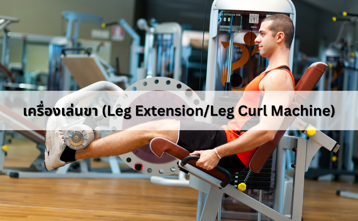 เครื่องเล่นขา (Leg Extension/Leg Curl Machine)