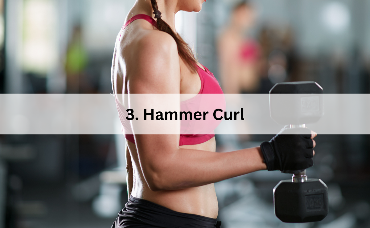 Hammer Curl