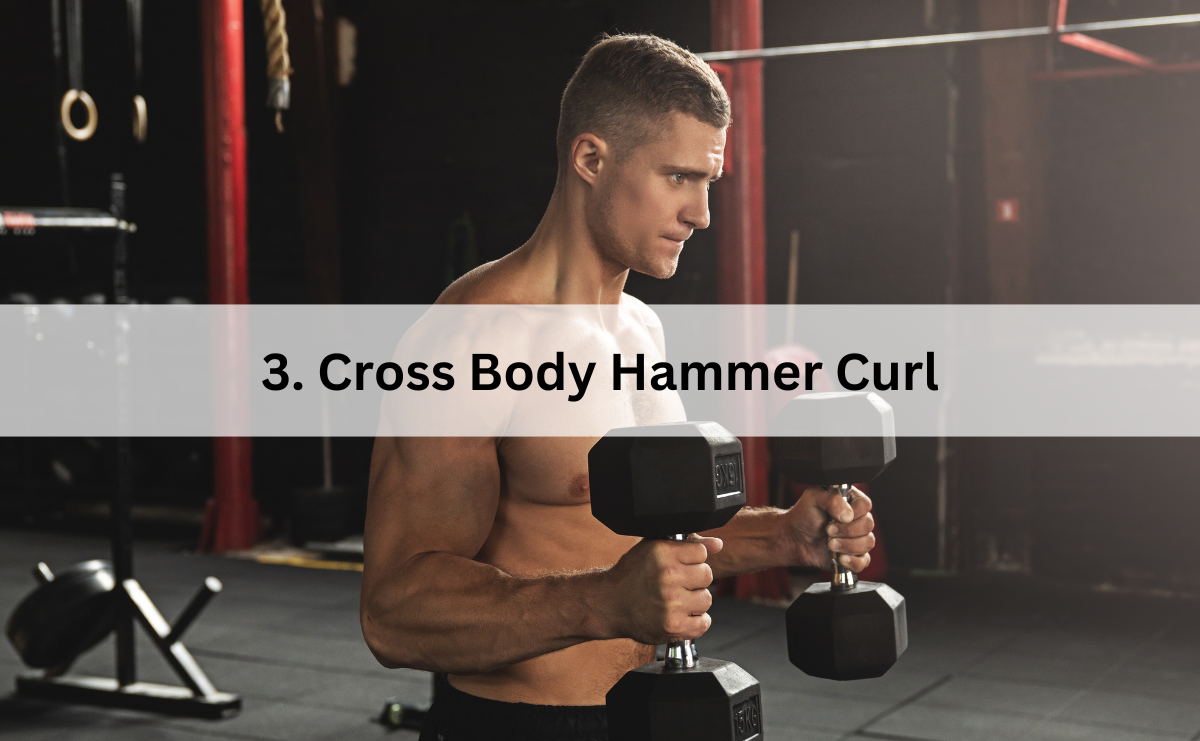 Hammer Curl