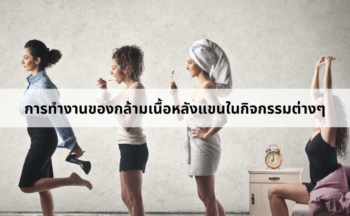 การทำงานของกล้ามเนื้อหลังแขนในกิจกรรมต่างๆ