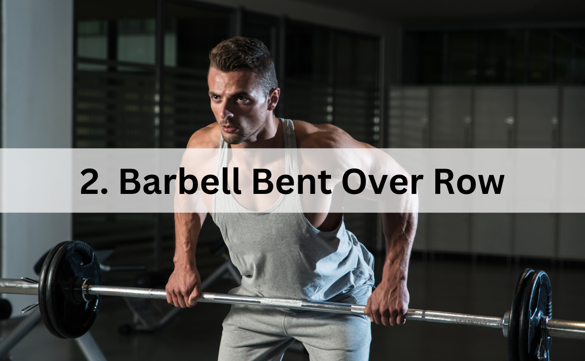 ท่าเล่นหลัง Barbell Bent Over Row